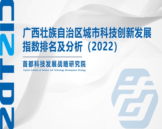 骚逼美女淫骚逼【成果发布】广西壮族自治区城市科技创新发展指数排名及分析（2022）